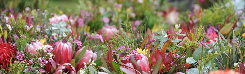 Werribee Park Market